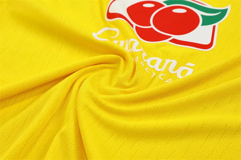 2025 Brazil Yellow Training Suit