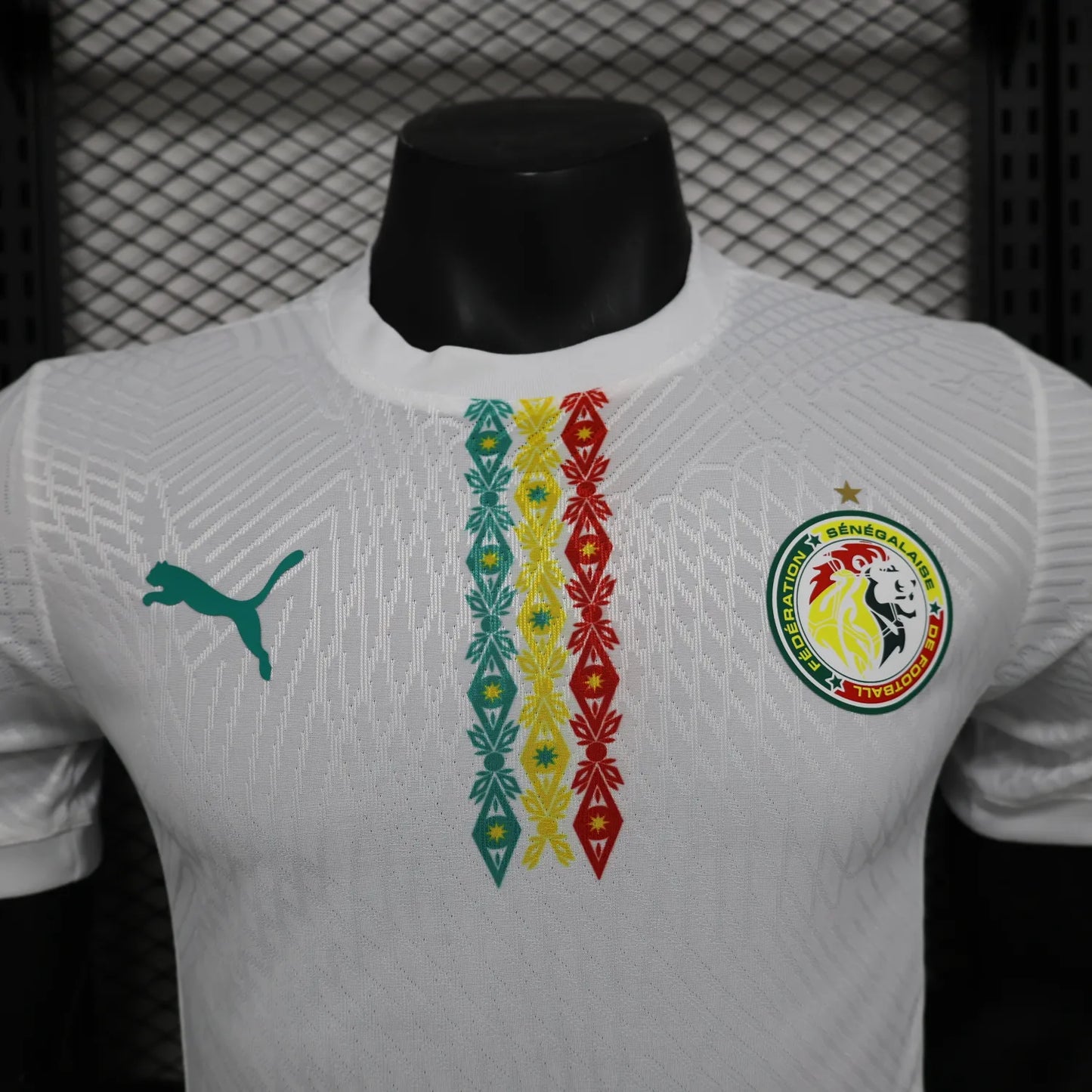 2025 Senegal Home Kit