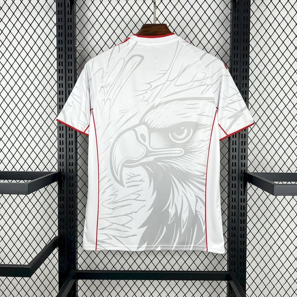 25-26 Benfica Speical Fans Kit