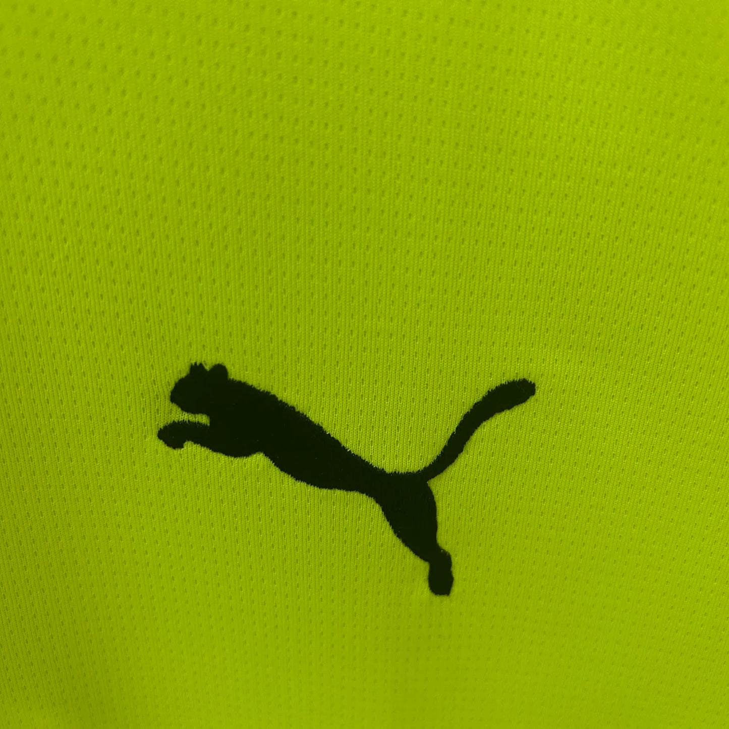 Dortmund Spcial Fans Kit 24-25