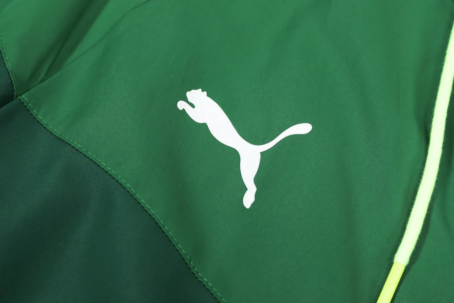 2023 Palmeiras Player Hooded Windbreaker S-XXL