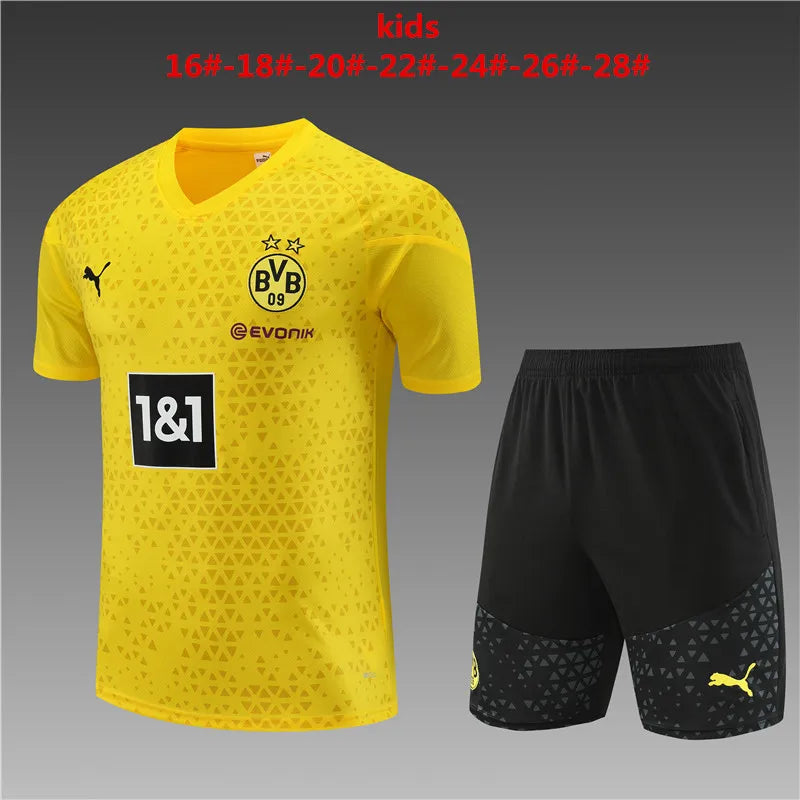 23-24 Borussia Dortmund Short Sleeve Training Suit