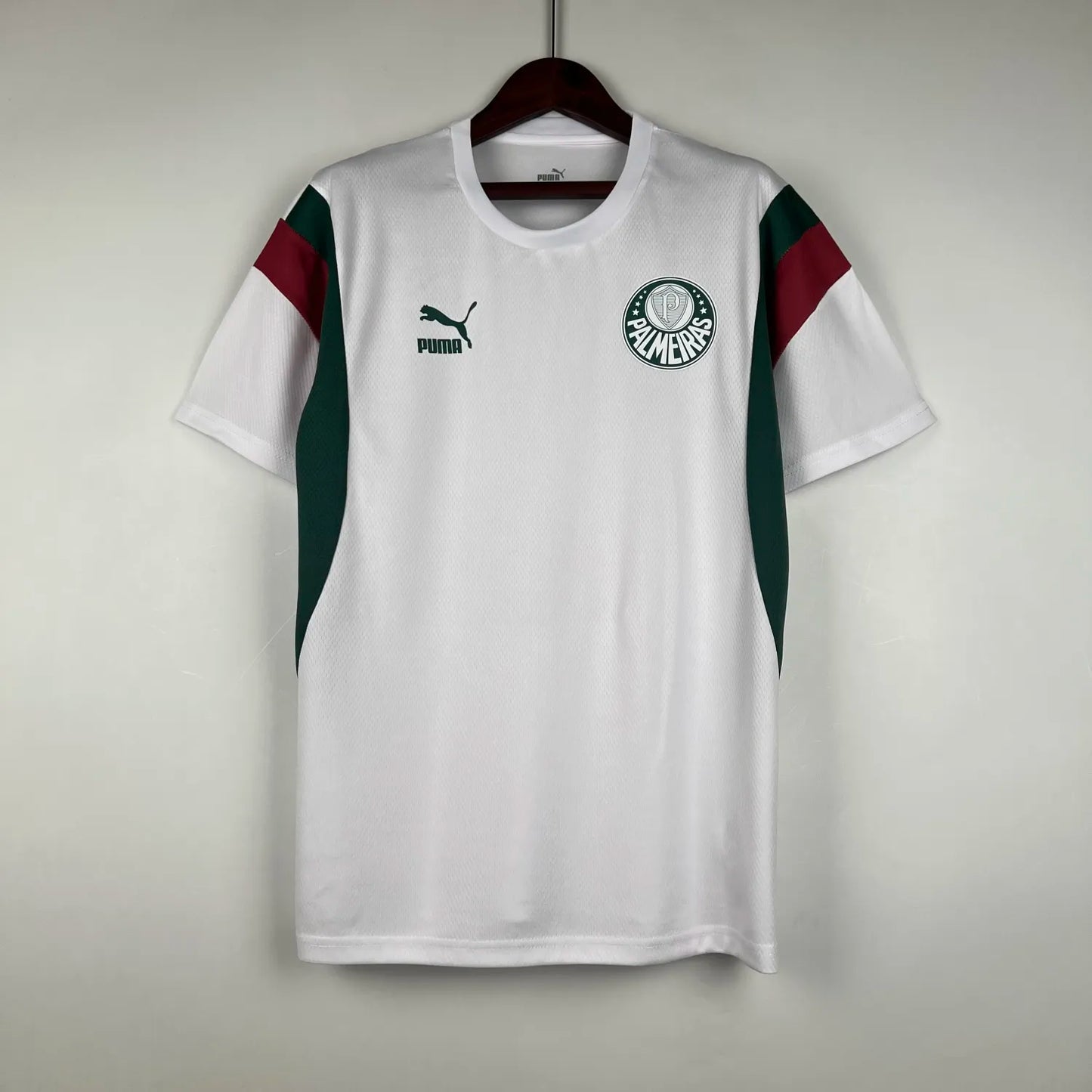 23-24 Palmeiras Special Fans Jersey