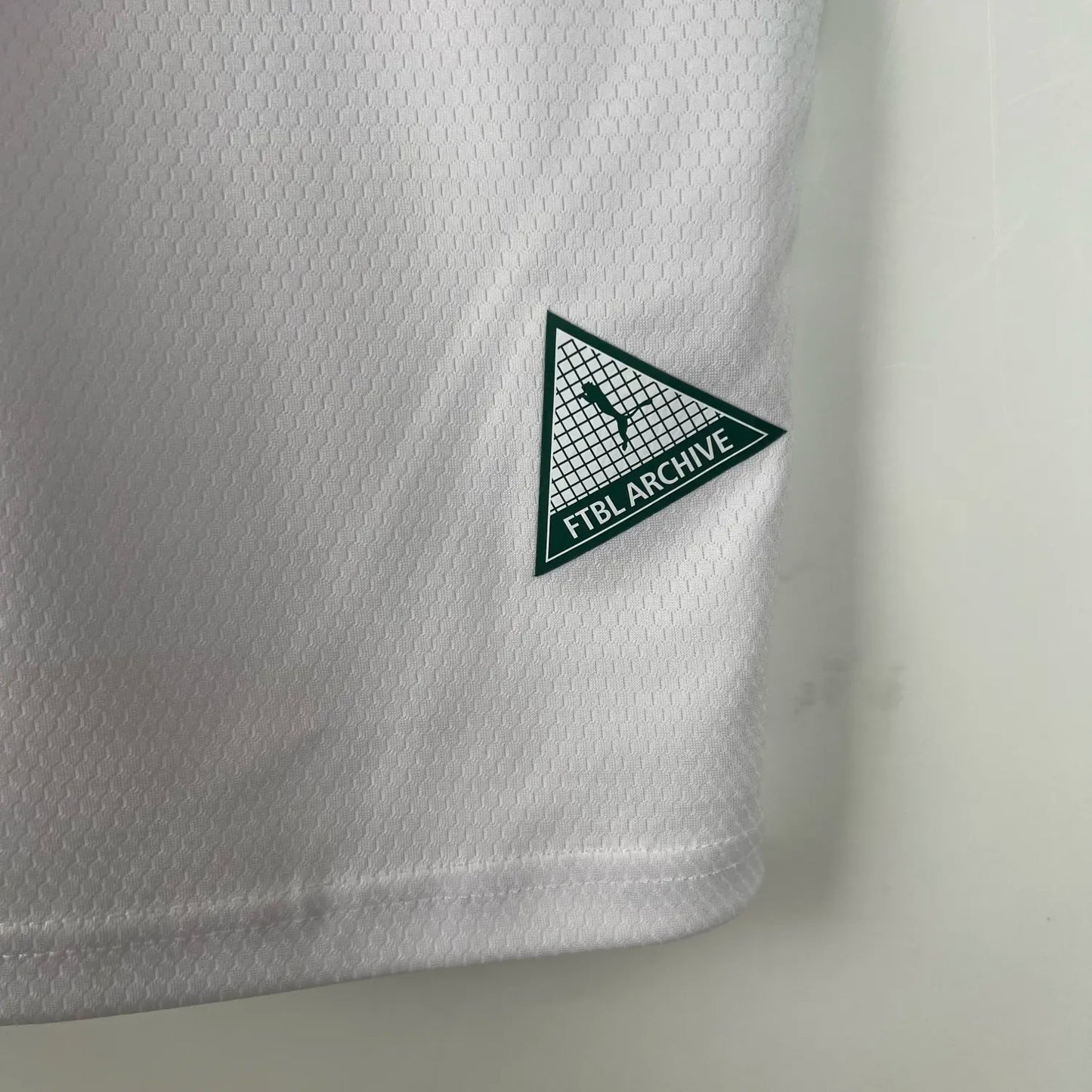 23-24 Palmeiras Special Fans Jersey