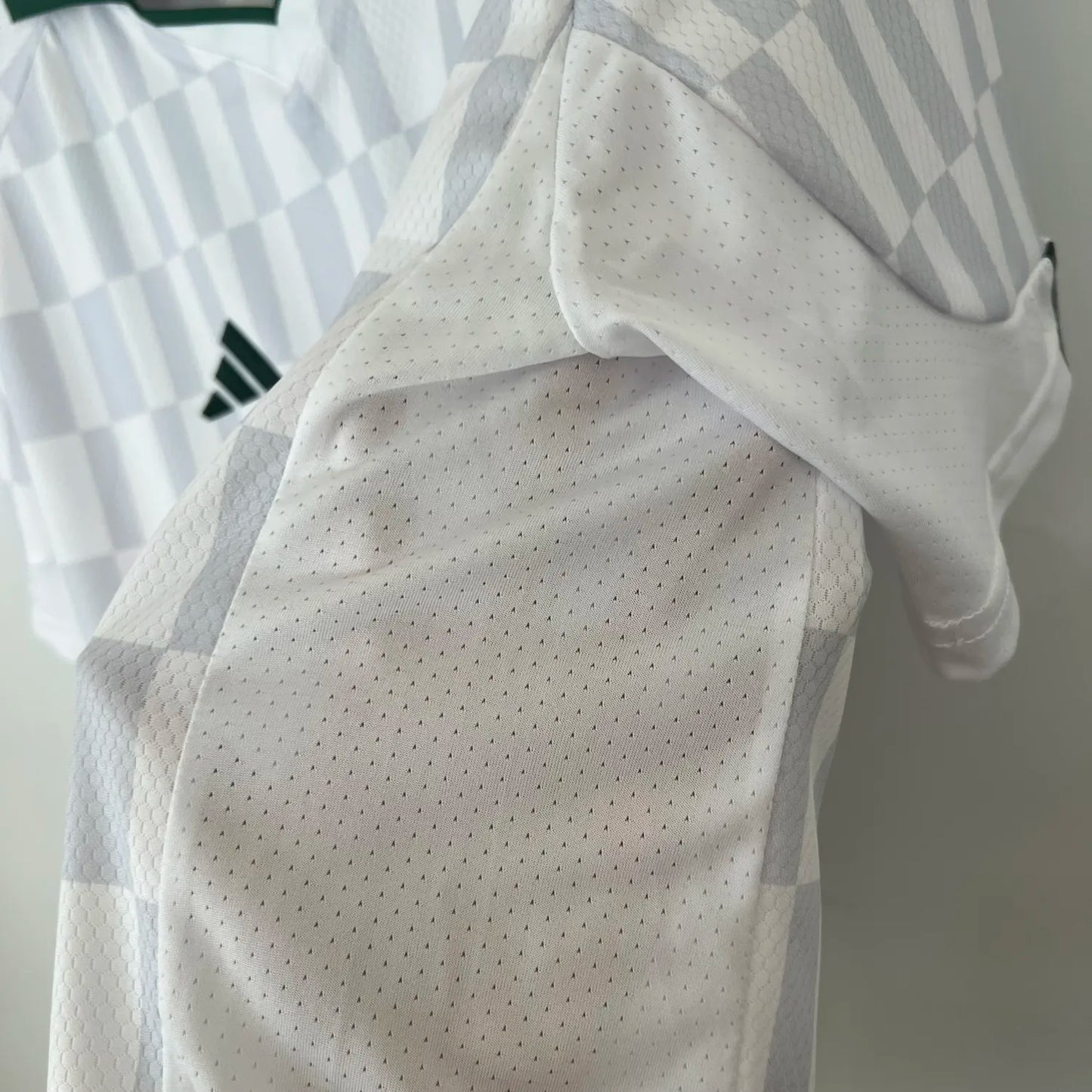 23-24 Palmeiras Special Fans Jersey