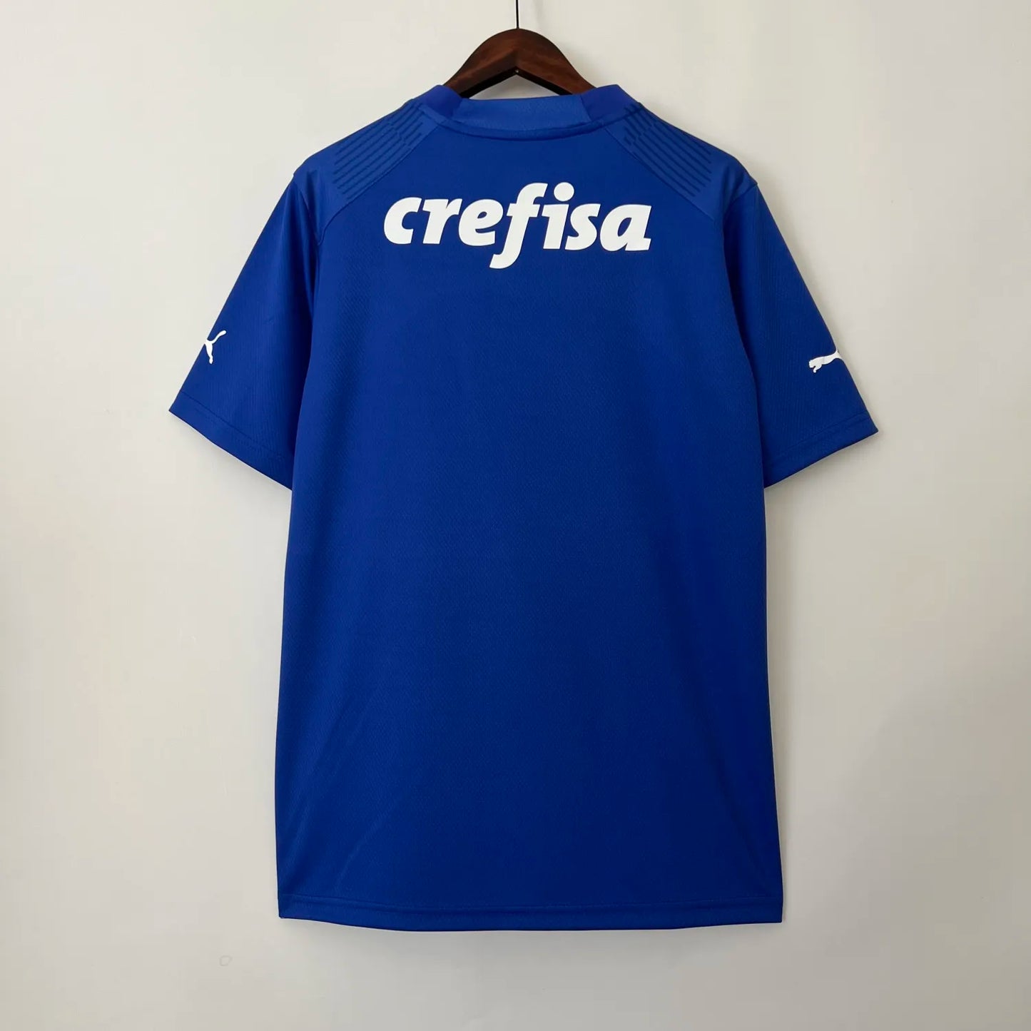 23-24 Palmeiras Goalkeeper Fans Jersey