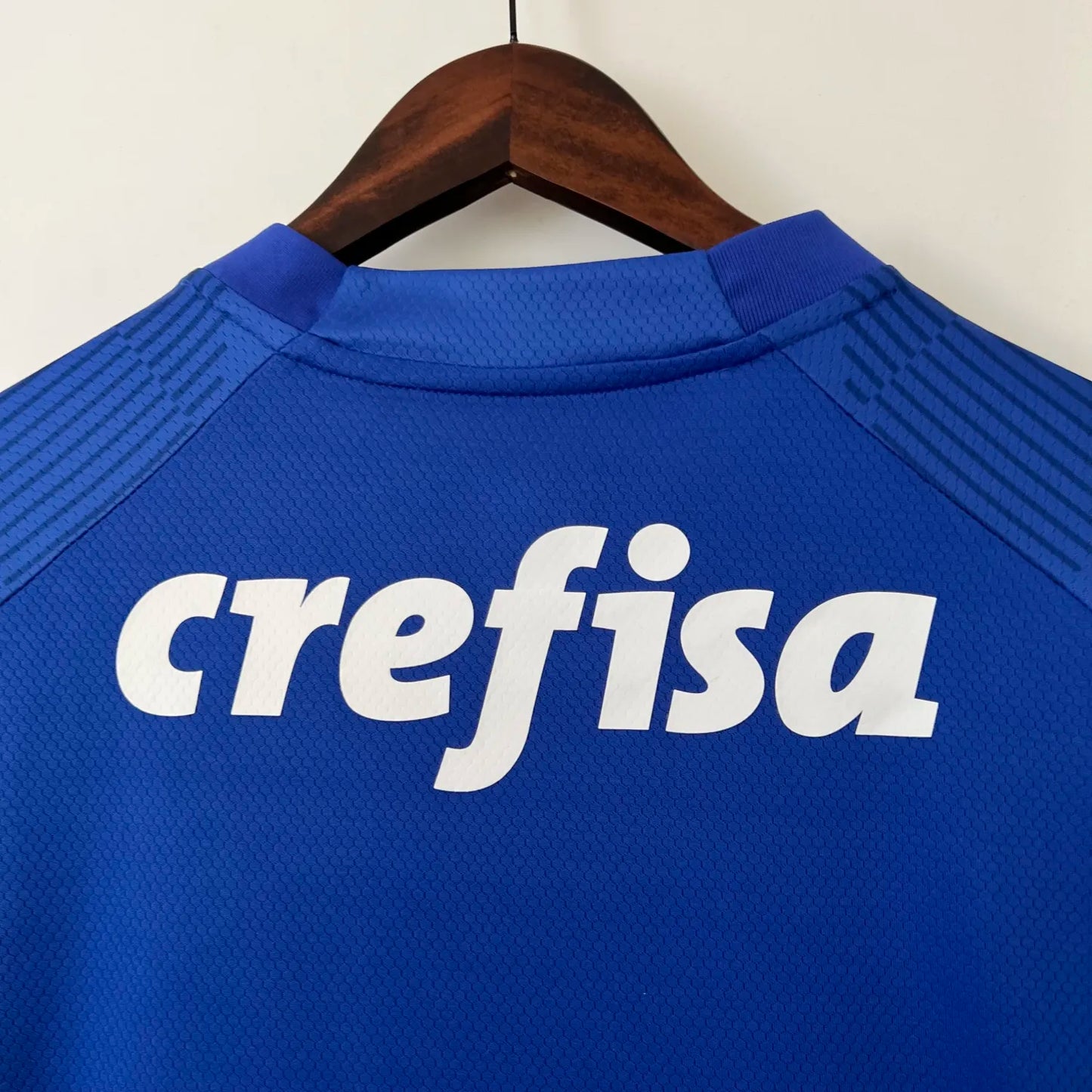 23-24 Palmeiras Goalkeeper Fans Jersey