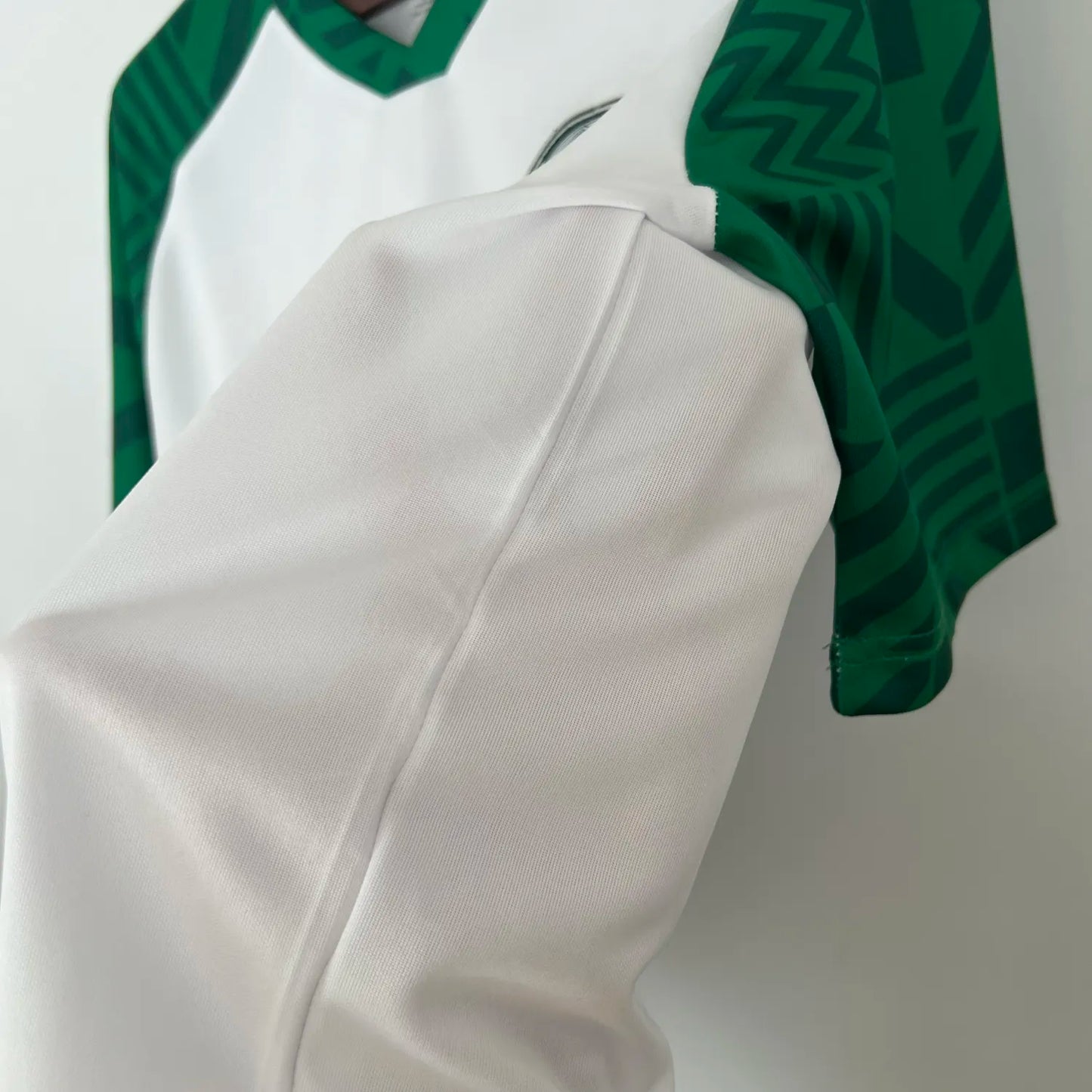 23-24 Palmeiras Special Fans Jersey