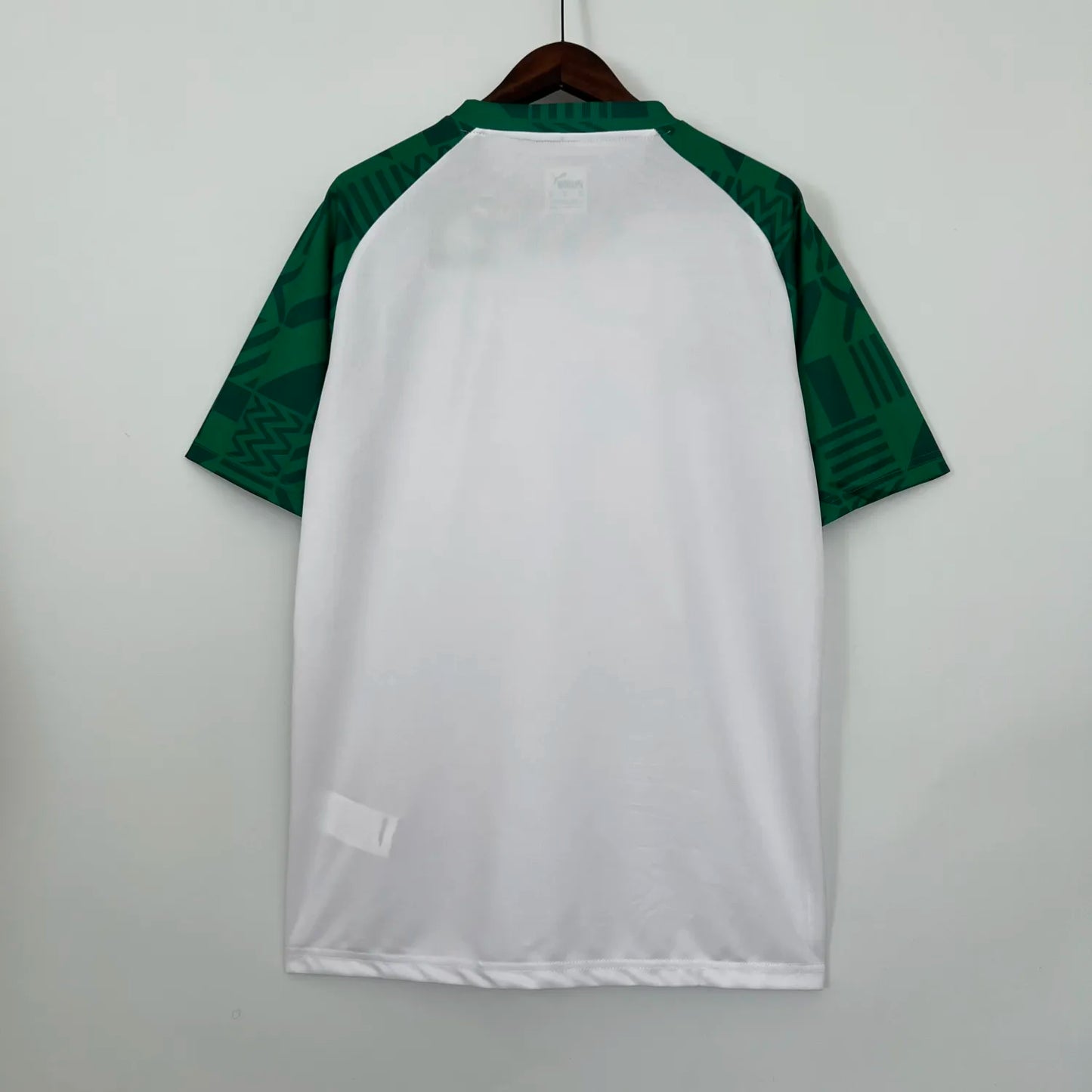 23-24 Palmeiras Special Fans Jersey