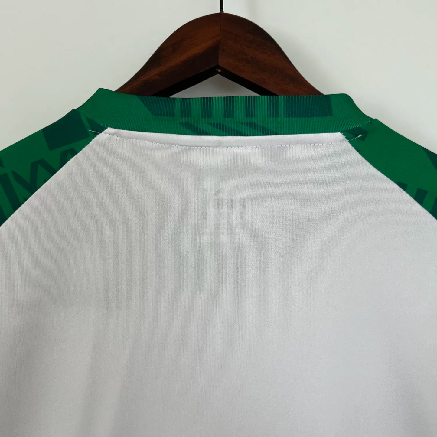 23-24 Palmeiras Special Fans Jersey