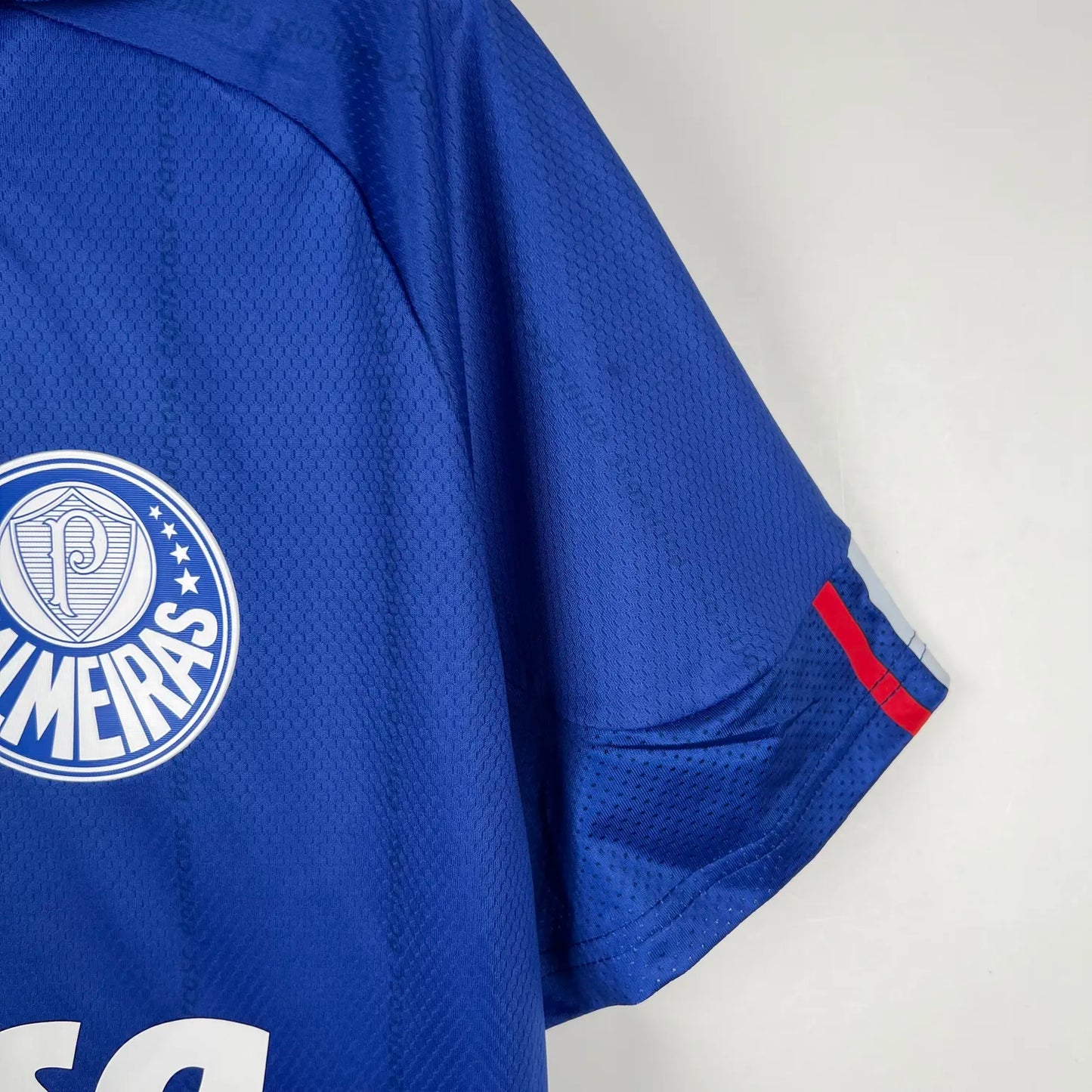 23-24 Palmeiras Special Fans Jersey
