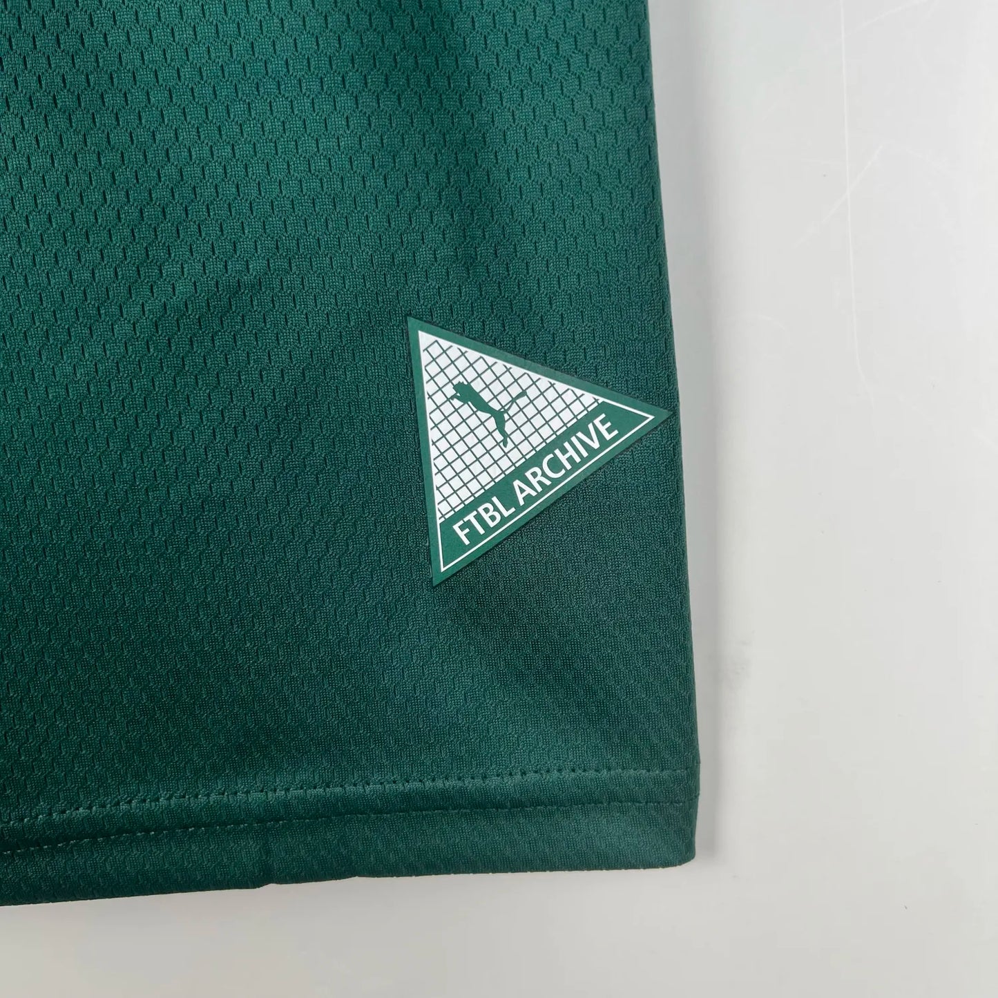 23-24 Palmeiras Special Fans Jersey