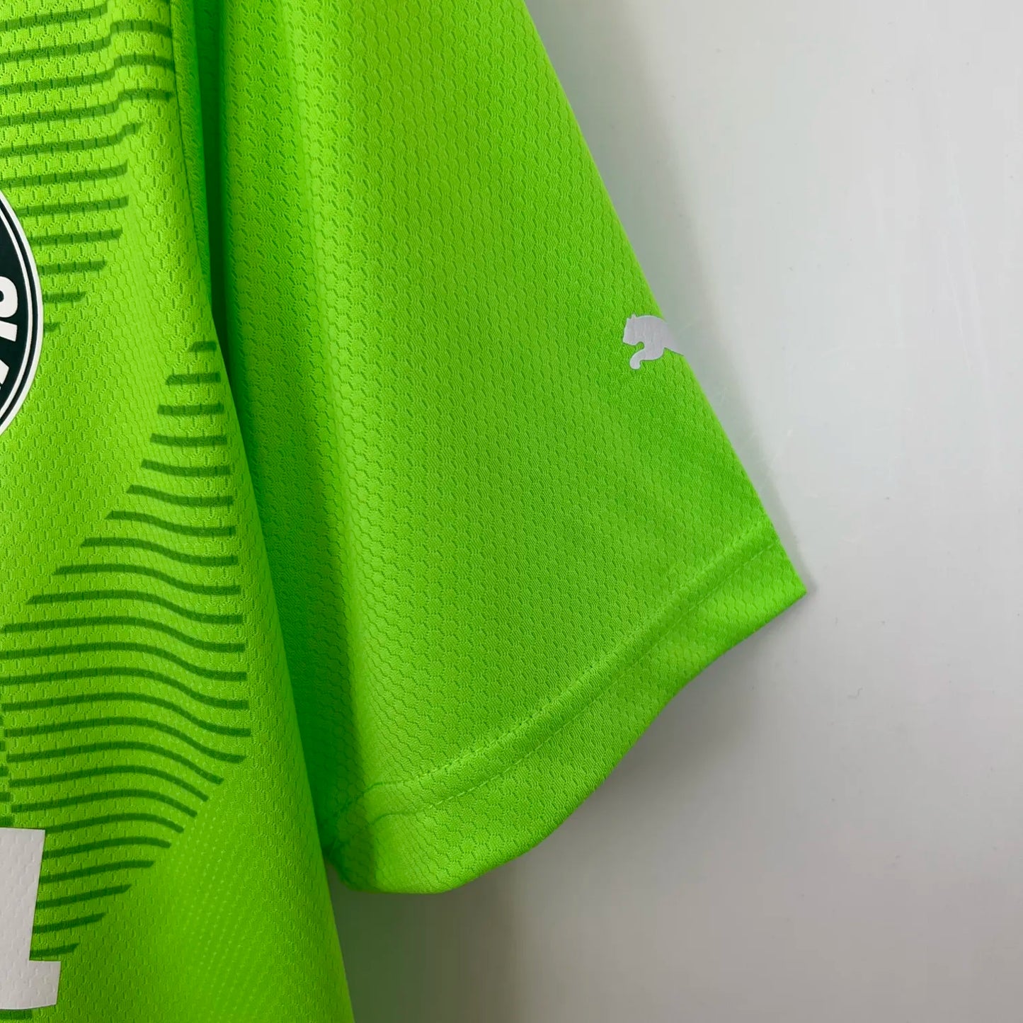 23-24 Palmeiras Goalkeeper Fans Jersey