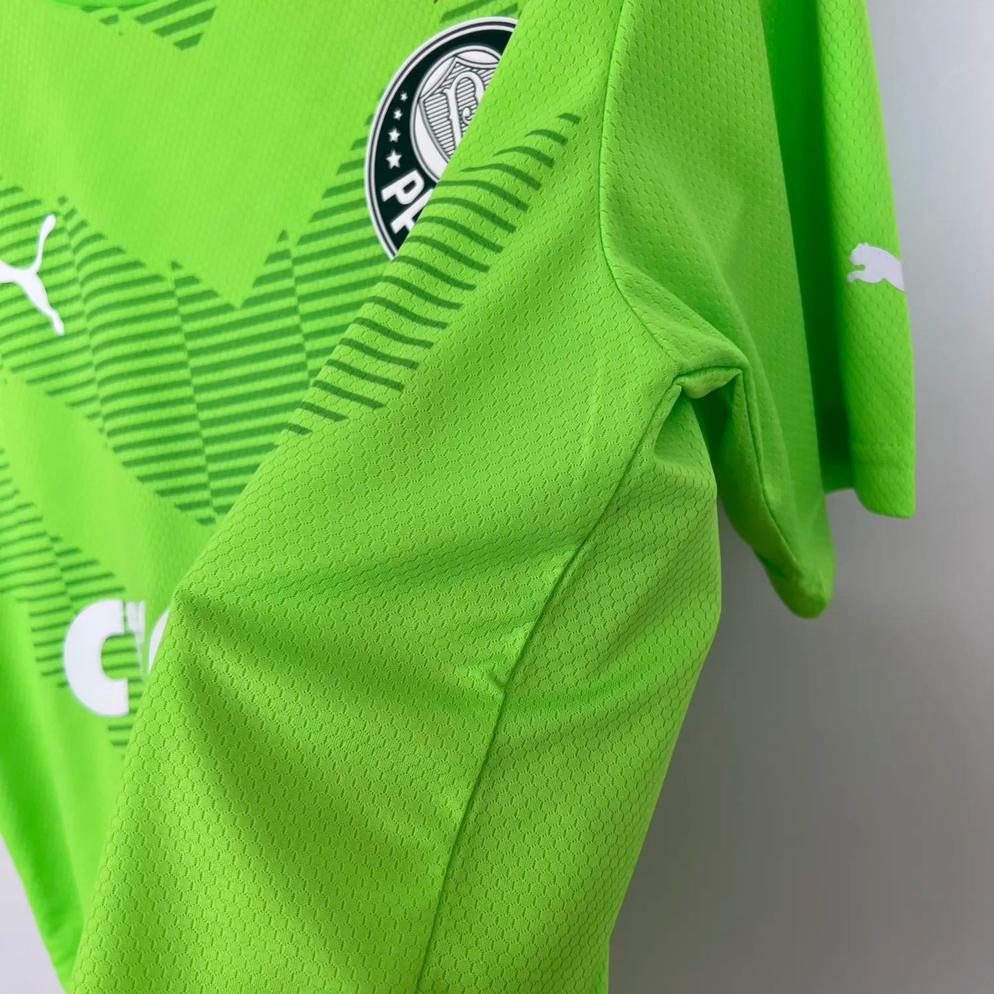 23-24 Palmeiras Goalkeeper Fans Jersey