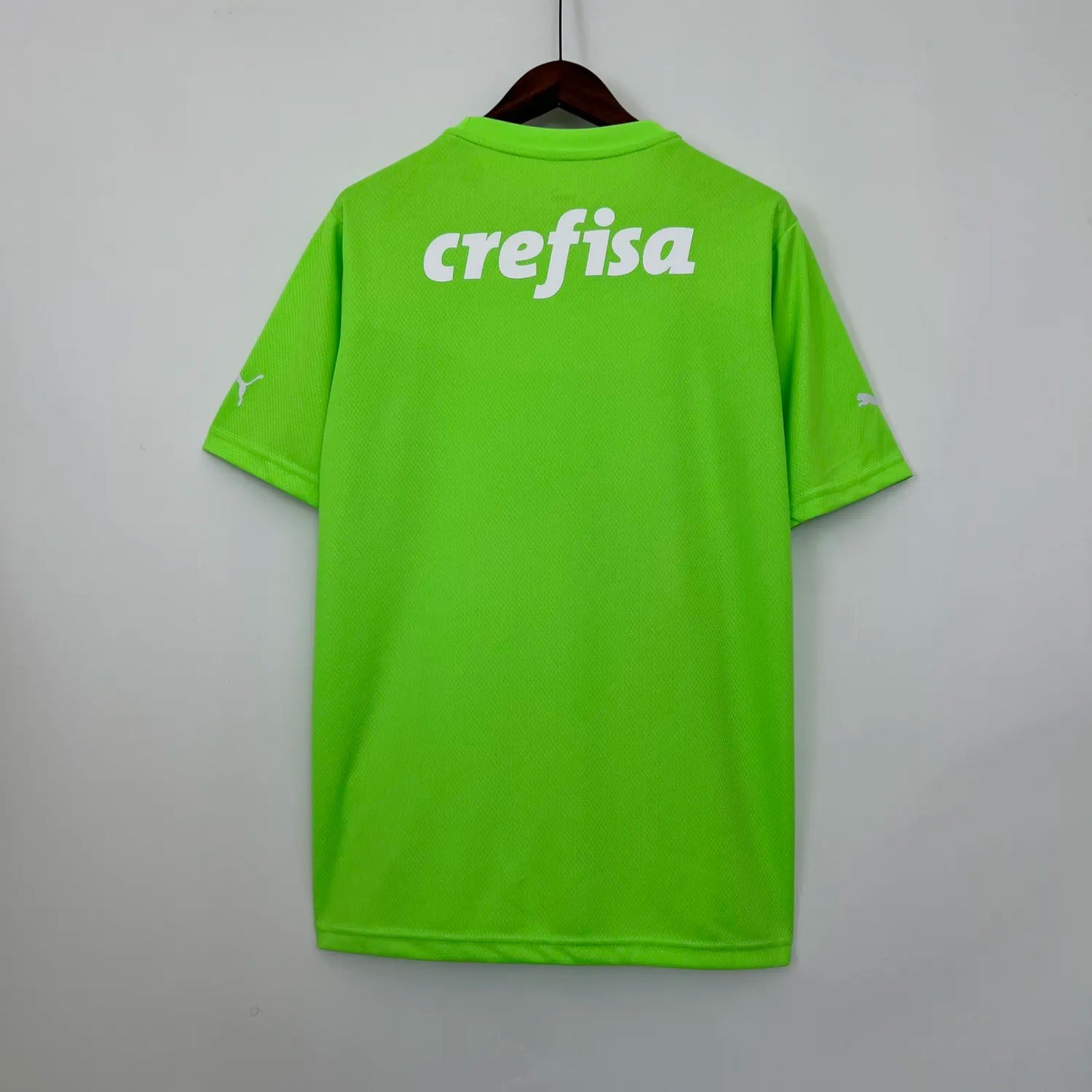 23-24 Palmeiras Goalkeeper Fans Jersey
