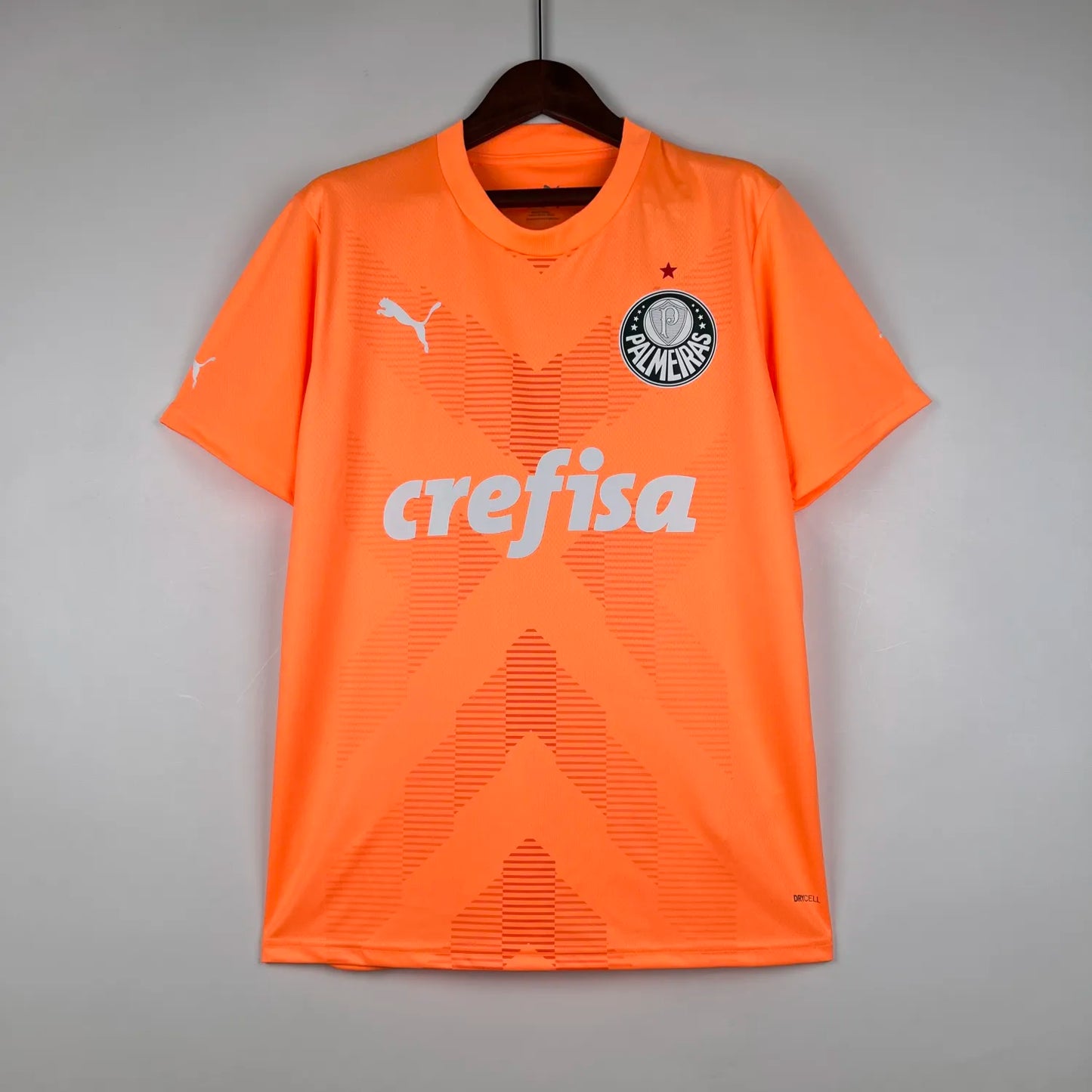 23-24 Palmeiras Goalkeeper Fans Jersey