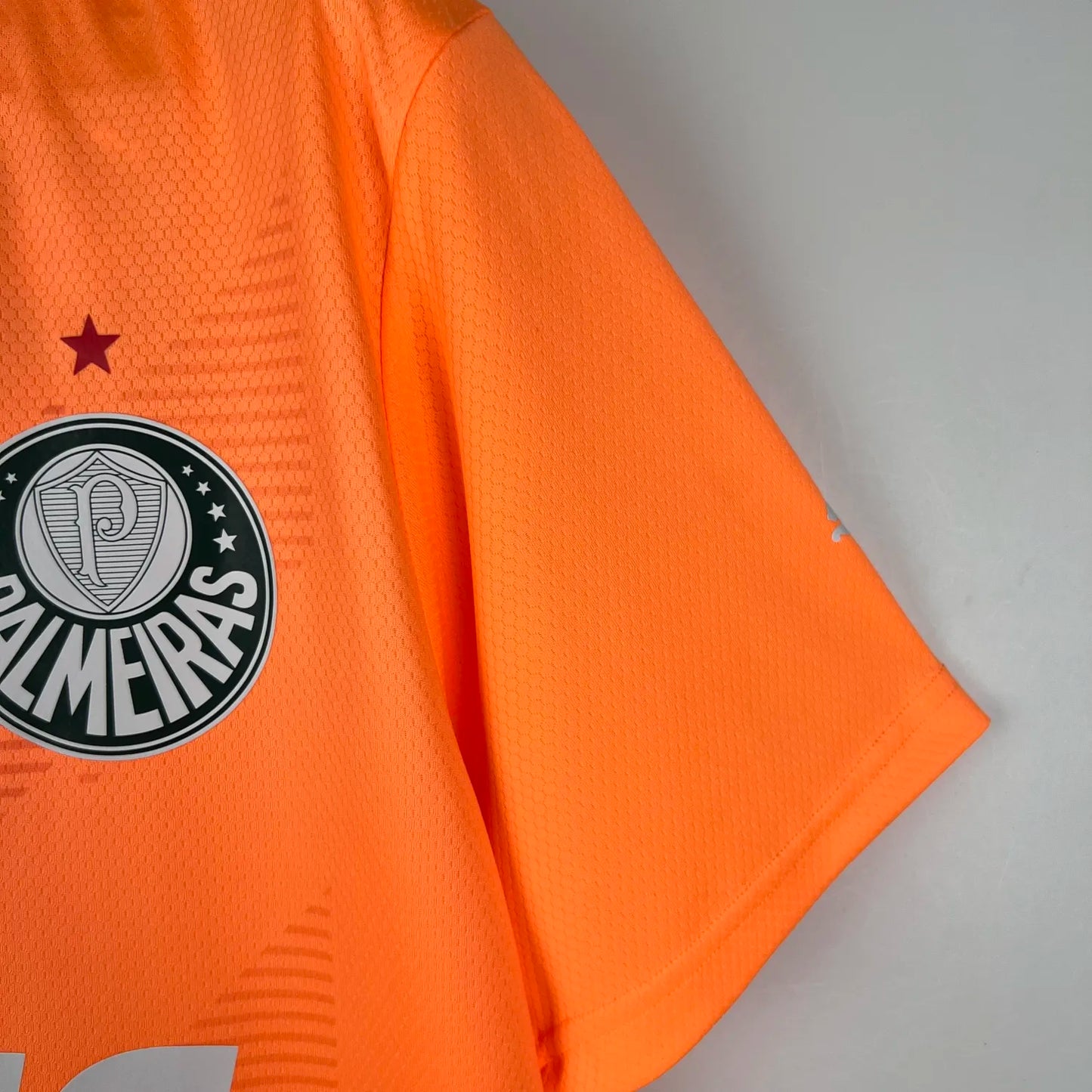 23-24 Palmeiras Goalkeeper Fans Jersey