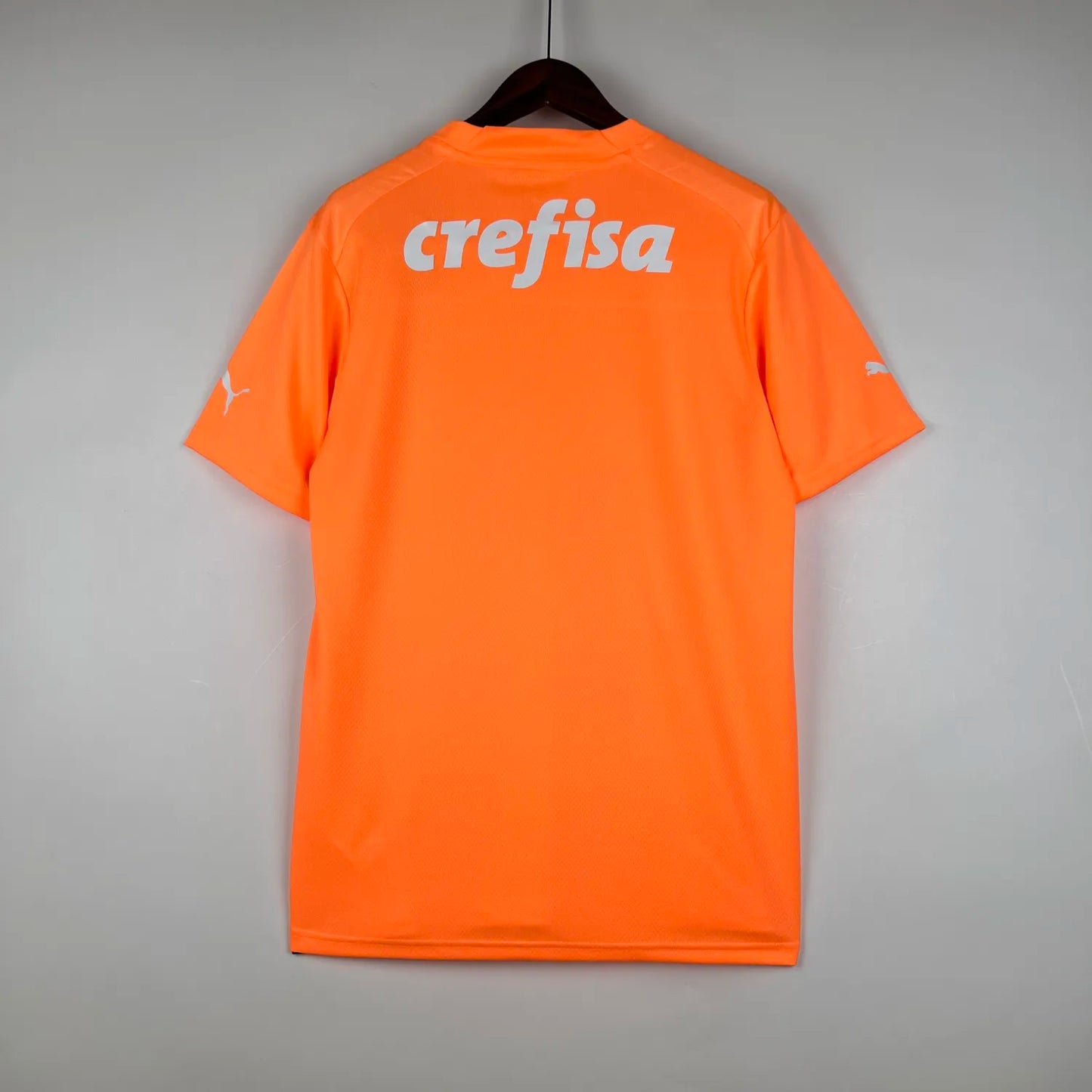 23-24 Palmeiras Goalkeeper Fans Jersey