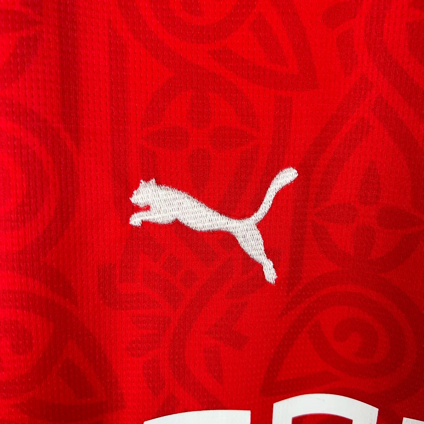 23-24 Stade Rennais Home Fans Jersey