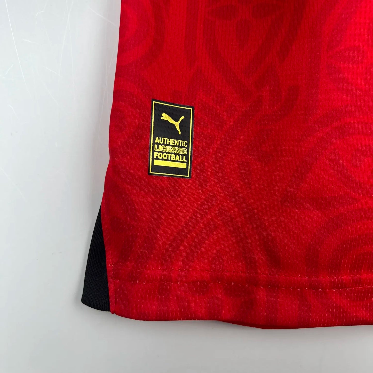 23-24 Stade Rennais Home Fans Jersey