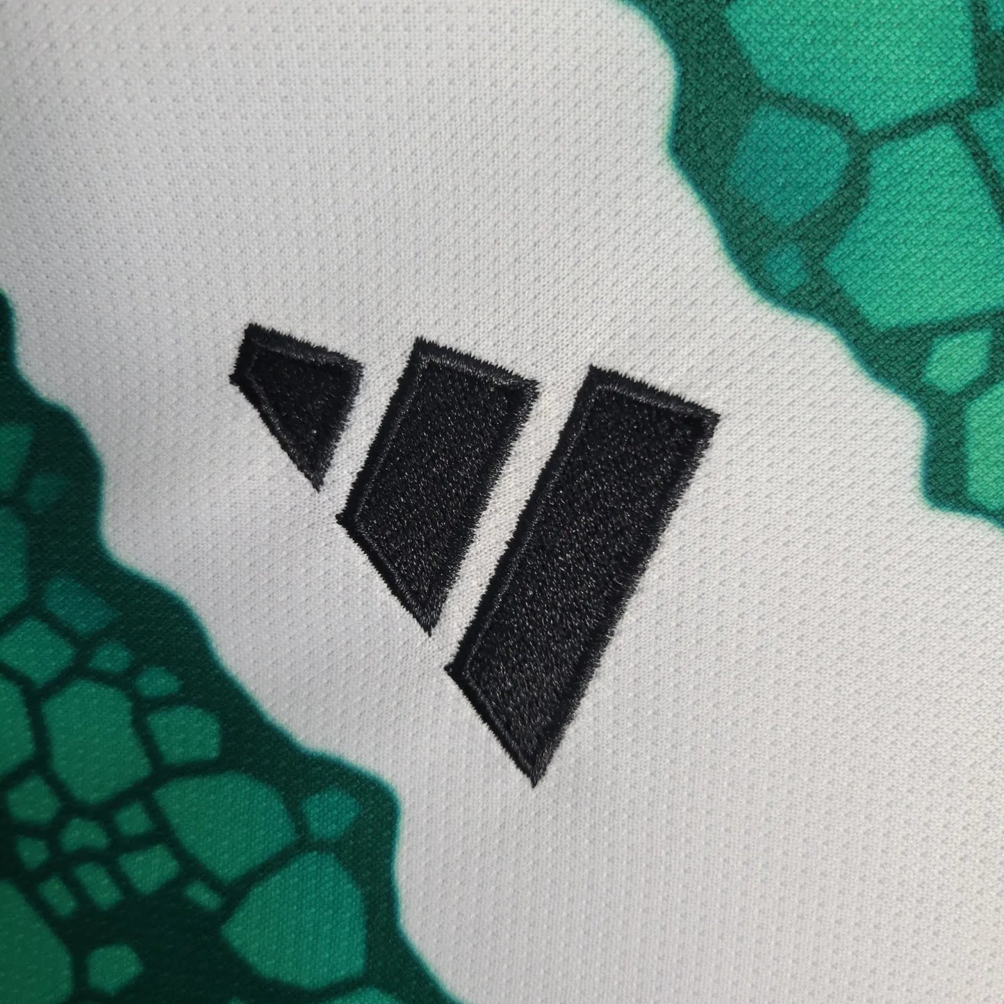 23-24 Celtic Home Fans Jersey