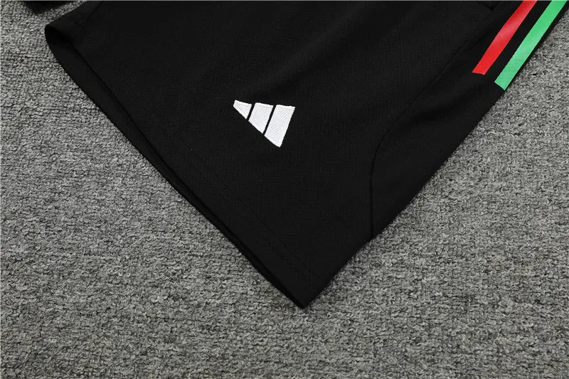 23-24 Bayern Munich Short Sleeve Training Suit