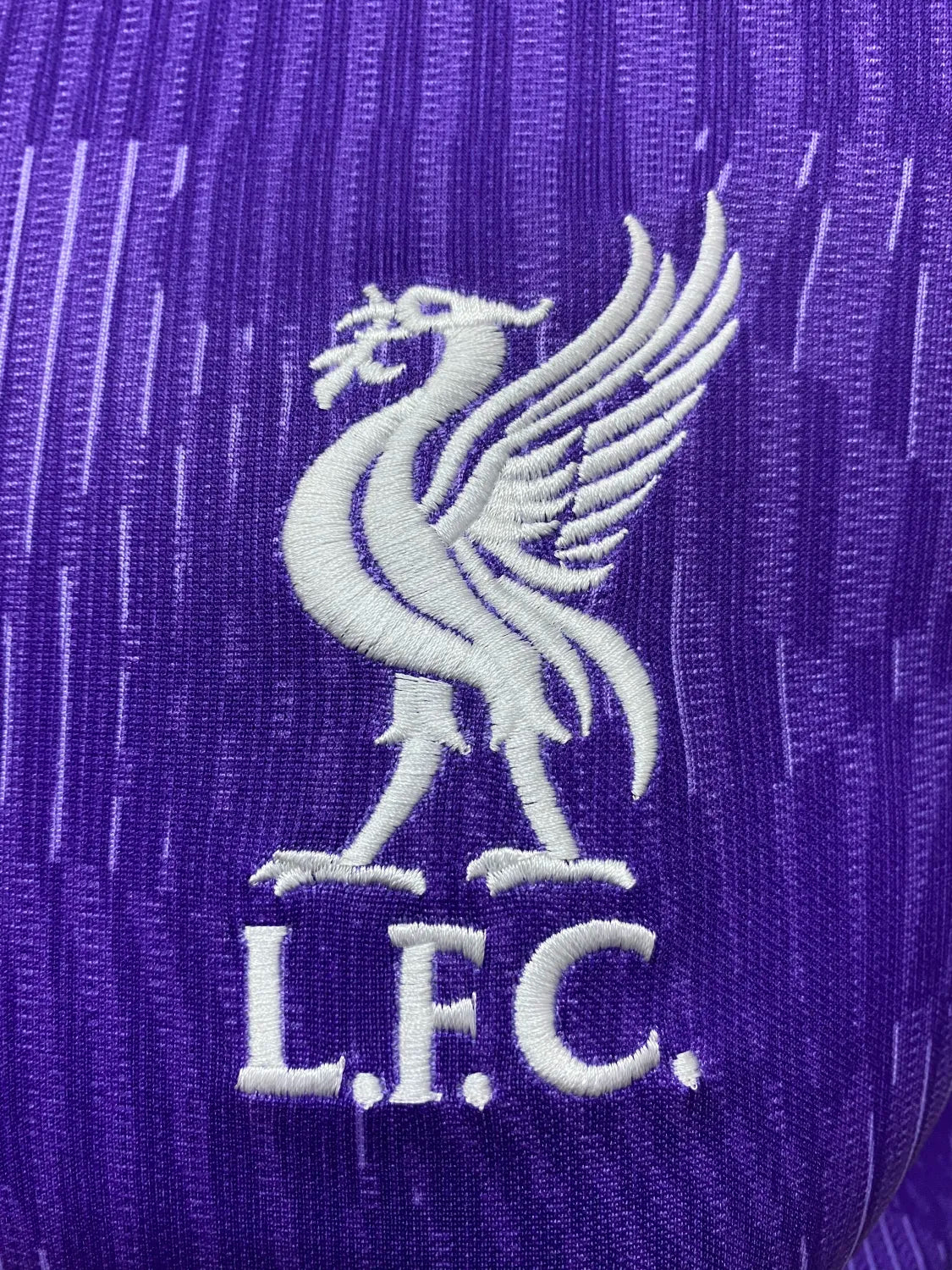 23-24 Liverpool Third Fans Jersey