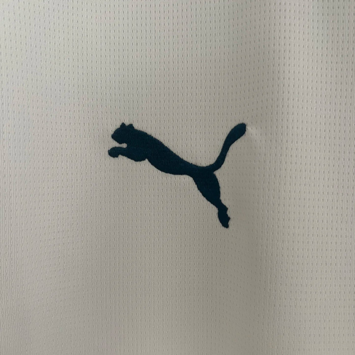 24-25 Marseille Home Fans Jersey