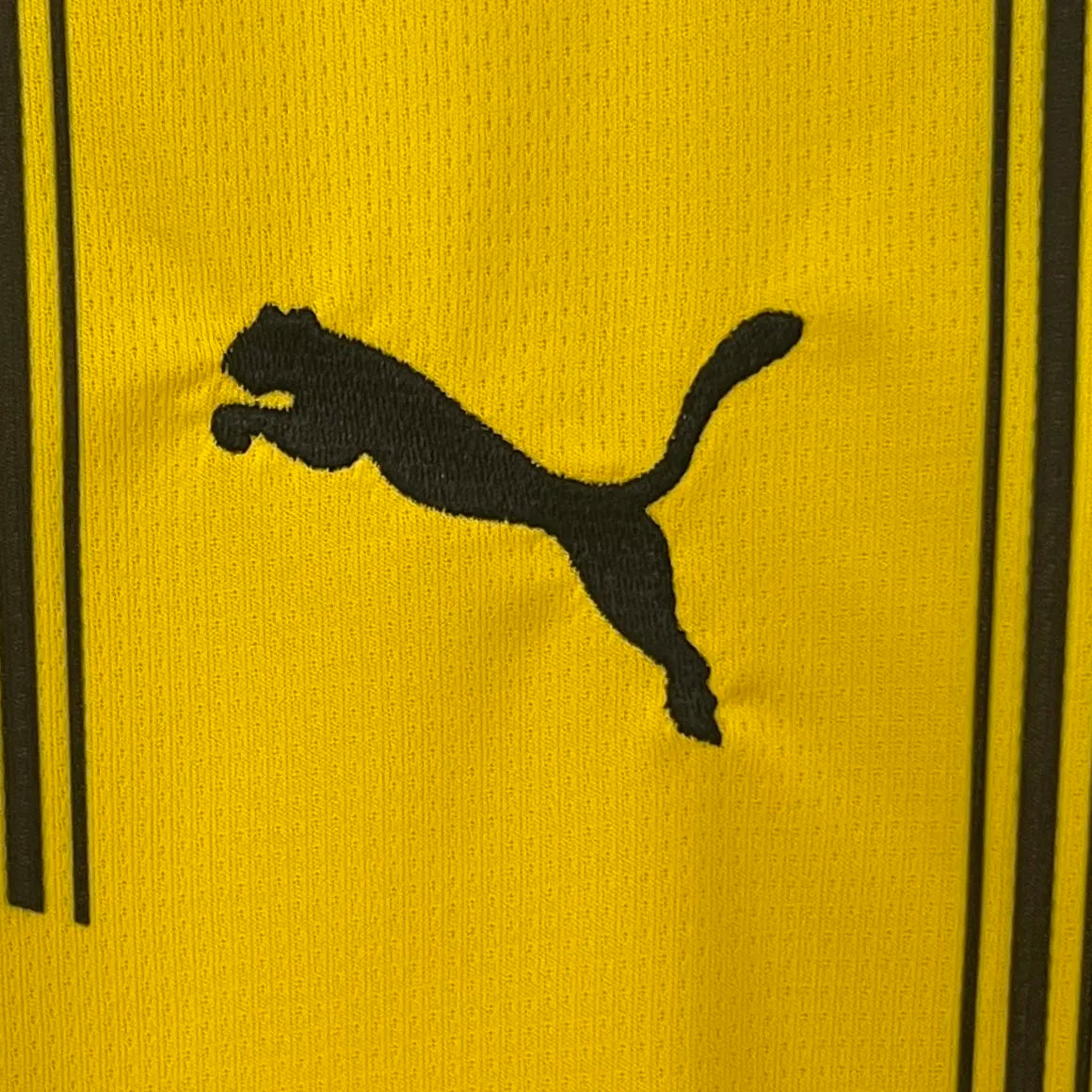 24-25 Dortmund Home Fans Jersey