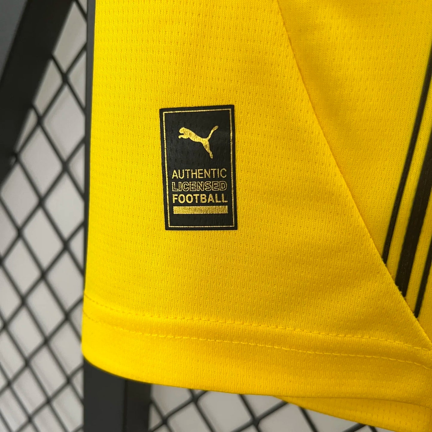 24-25 Dortmund Home Fans Jersey