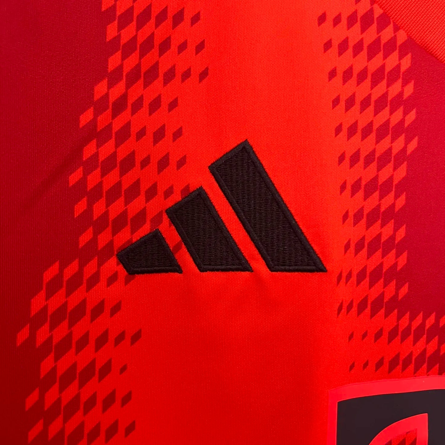 24-25 Bayern Munich Home Fans Jersey