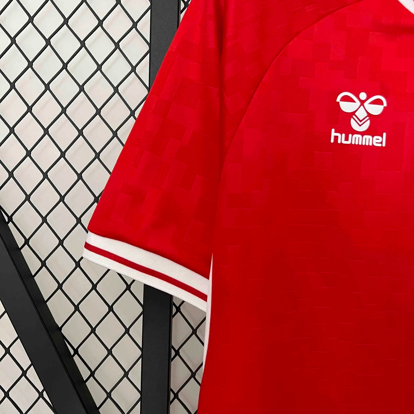 2024 Denmark Home Fans Jersey