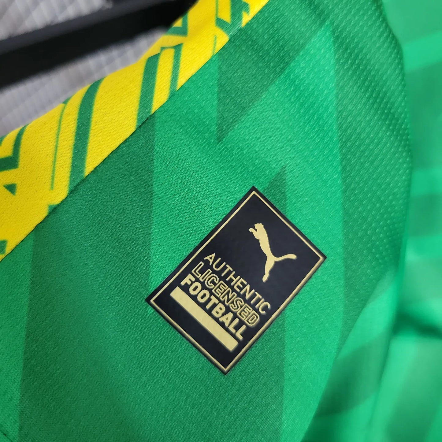 23-24 Manchester City Green Goal Keeper Fans Jersey