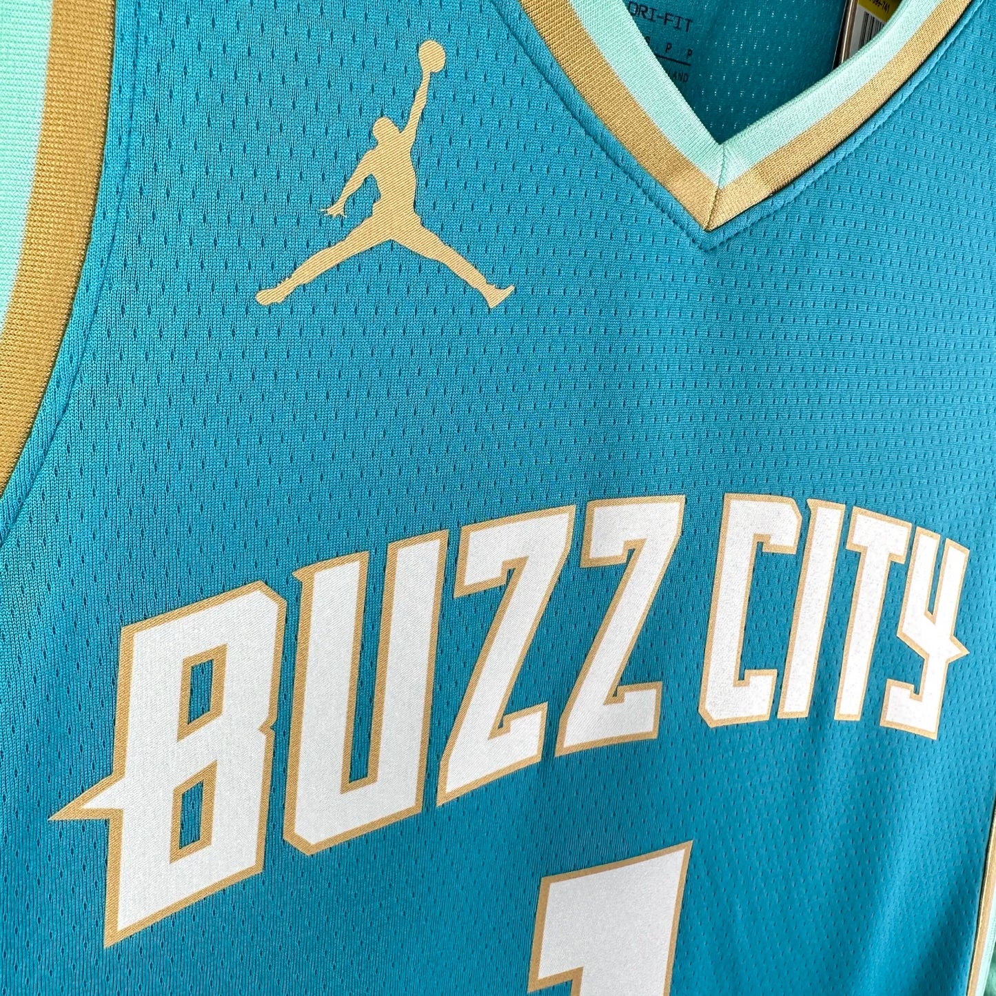 2024 Charlotte Hornets City Edition LaMelo Ball #1 Swingman NBA Jersey