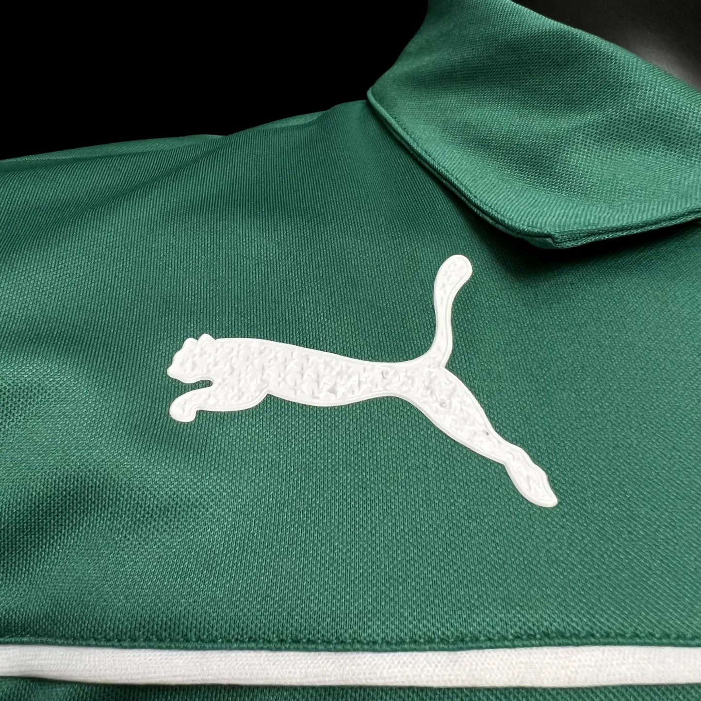 23-24 Palmeiras Motorsport Fans Jersey
