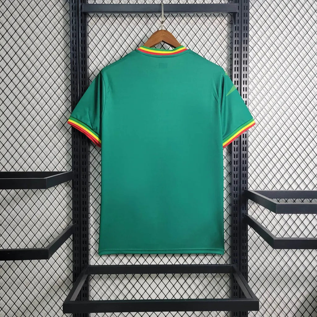 23-24 Mali Africa Cup Away Fans Jersey