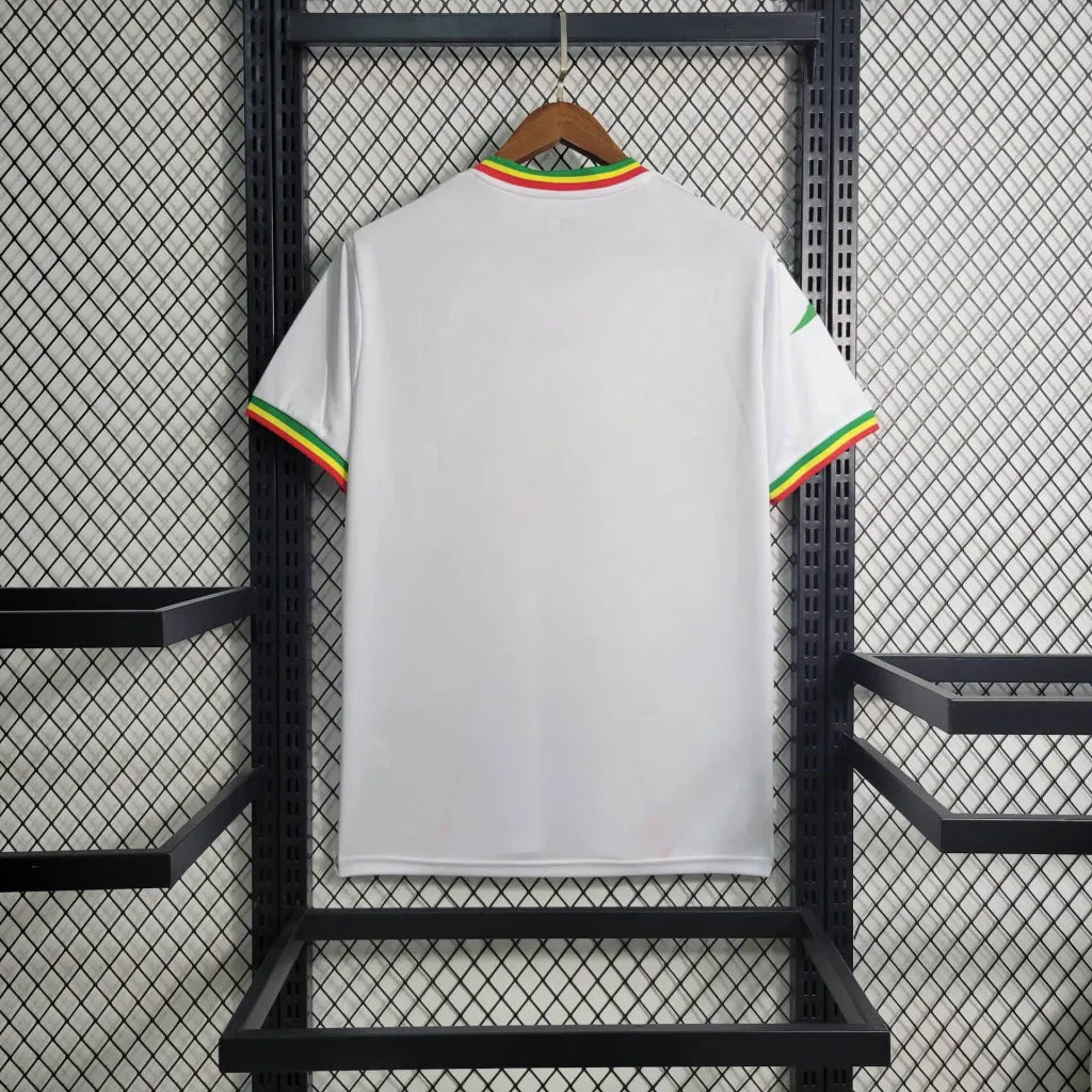 23-24 Mali Africa Cup Home Fans Jersey