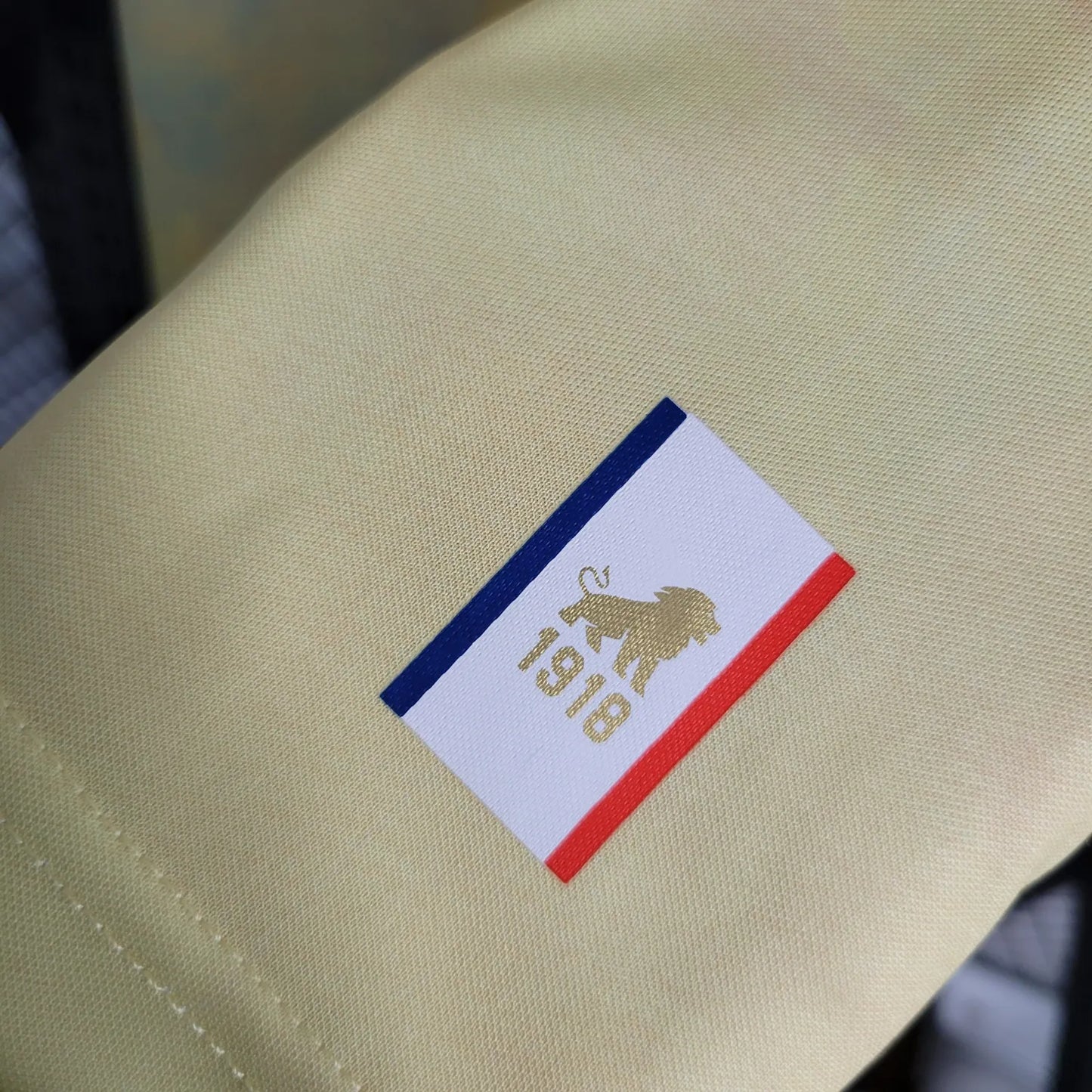 23-24 Fortaleza Special Fans Jersey