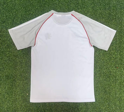 25-26 Lyon Away Fans Kit