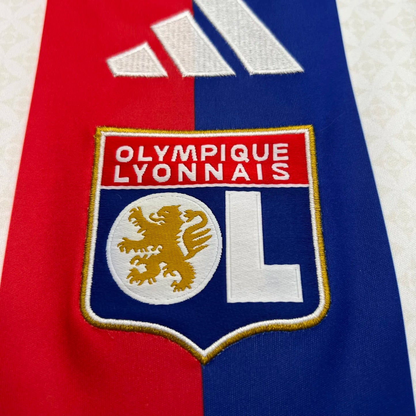 25-26 Lyon Home Fans Kit