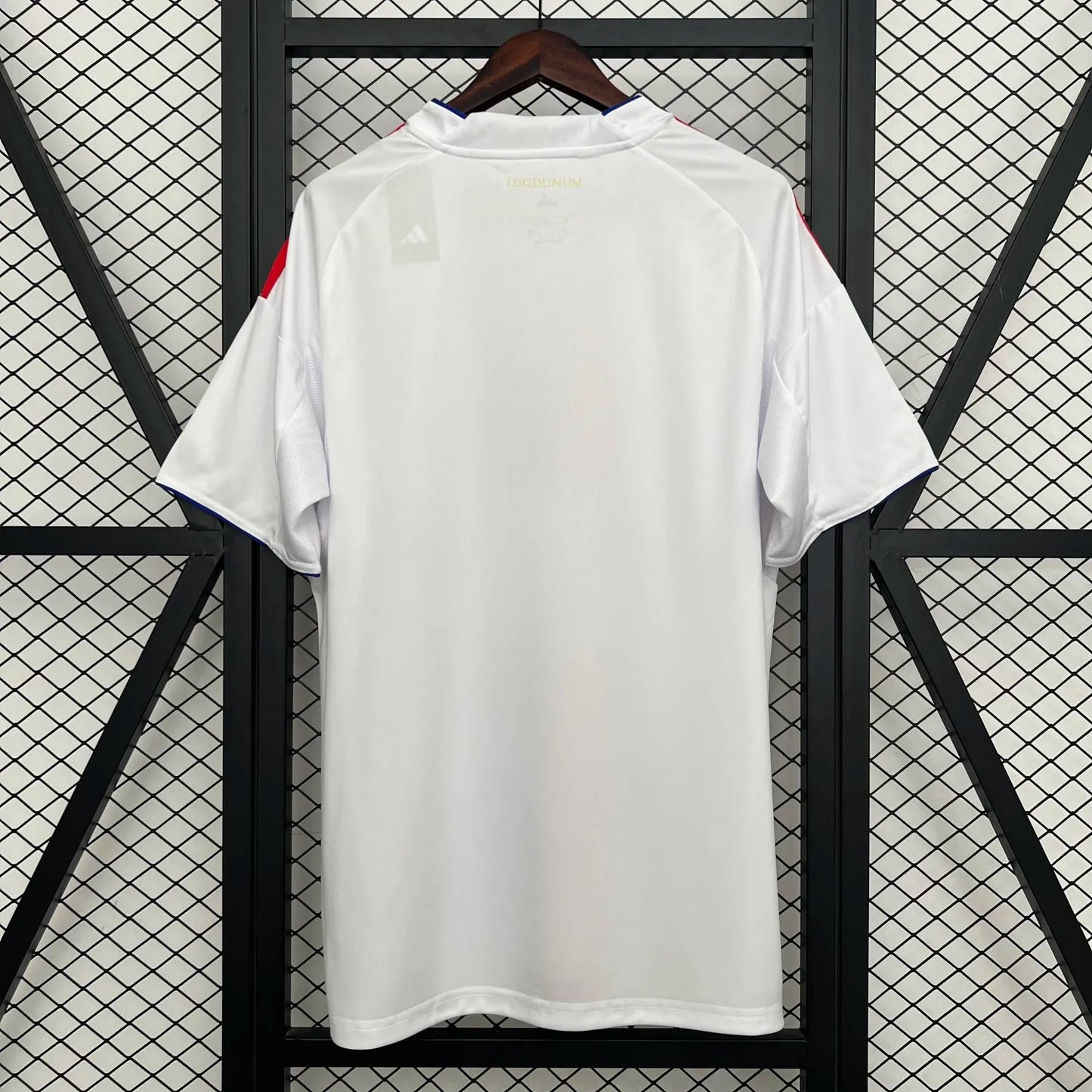 25-26 Lyon Home Fans Kit