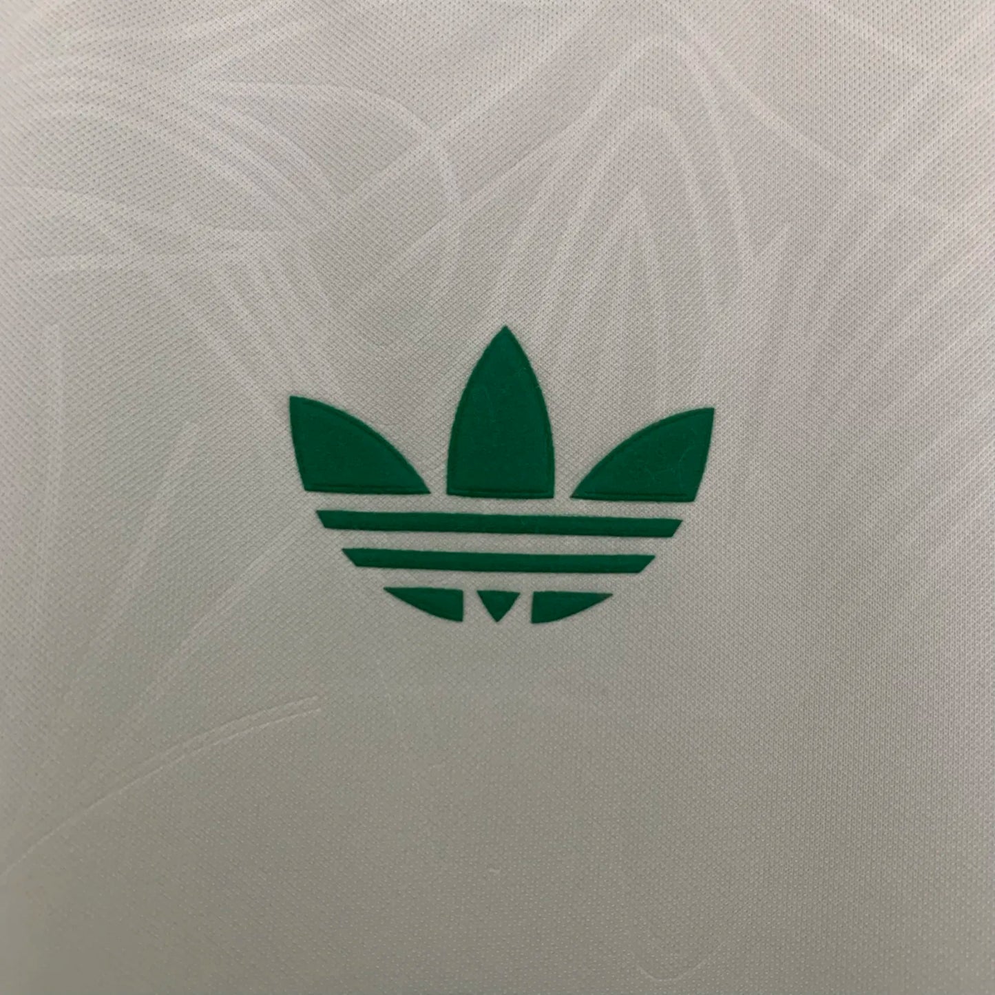 Celtic Special Fans Kit 25-26