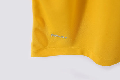 Brazil Home Kit Retro 2013