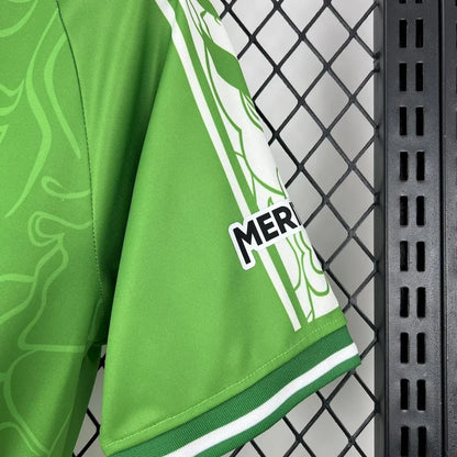 Real Betis Special Kit 25-26
