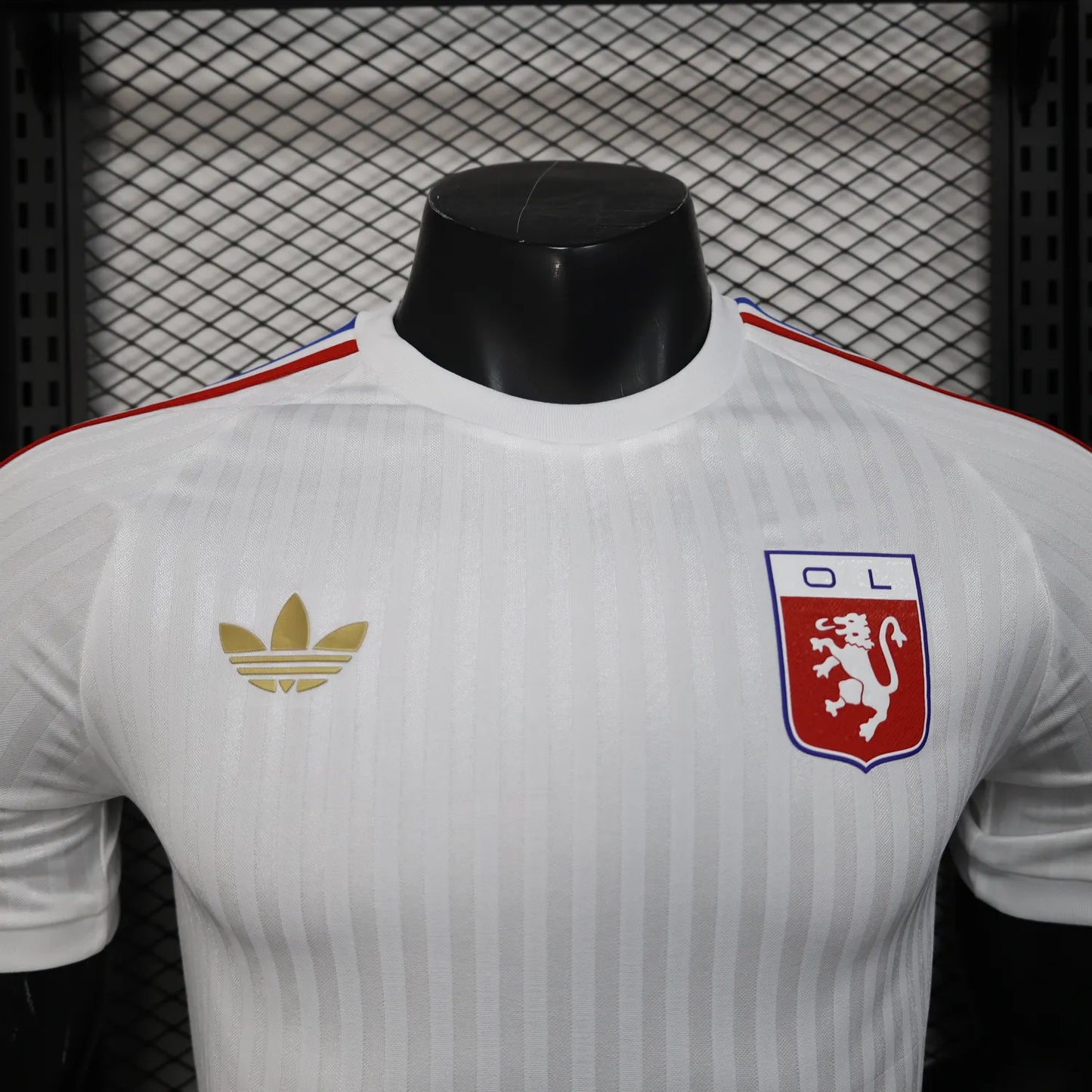 24-25 Lyon Special Kit