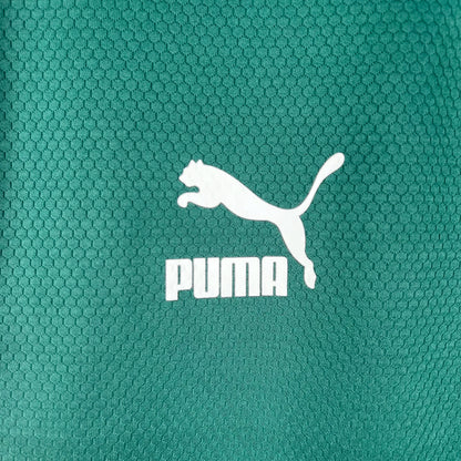 23-24 Palmeiras Special Fans Jersey