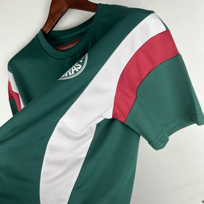 23-24 Palmeiras Special Fans Jersey
