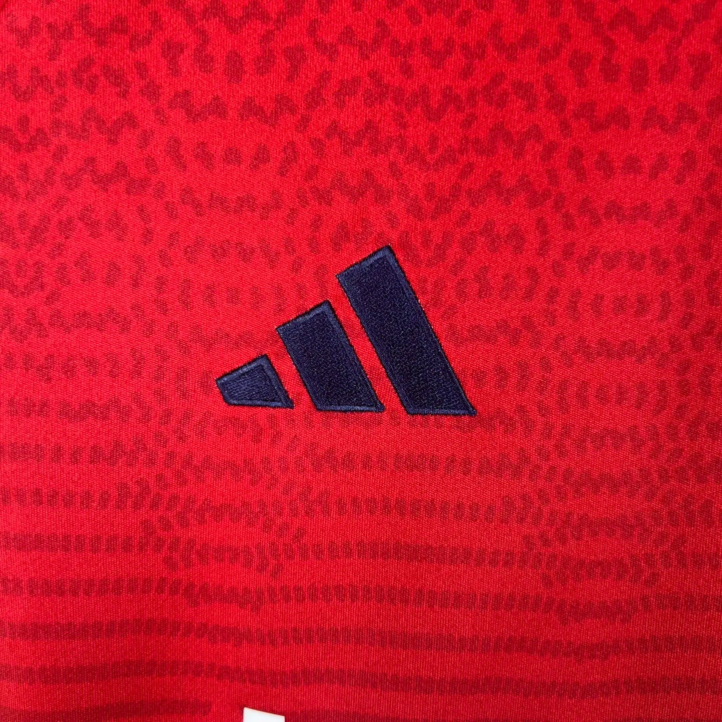23-24 CA Osasuna Home Fans Jersey