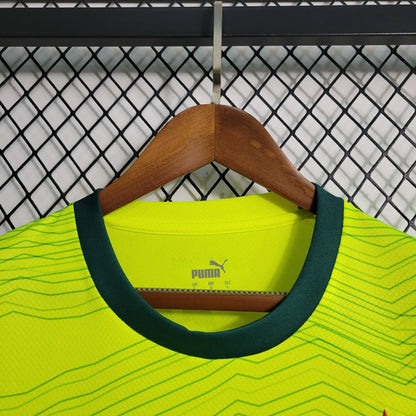 23-24 Palmeiras Third Fans Jersey