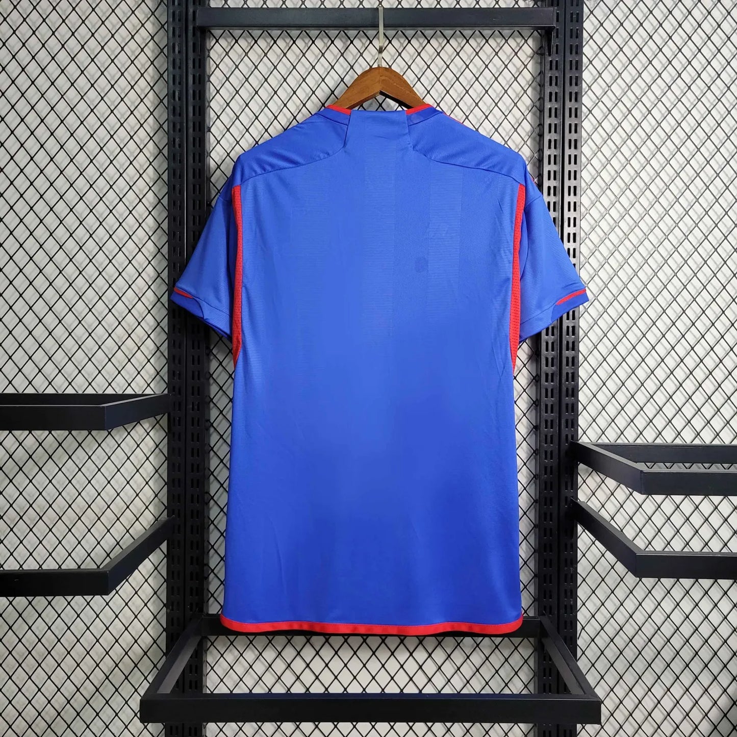 23-24 Olympique Lyonnais Away Fans Jersey